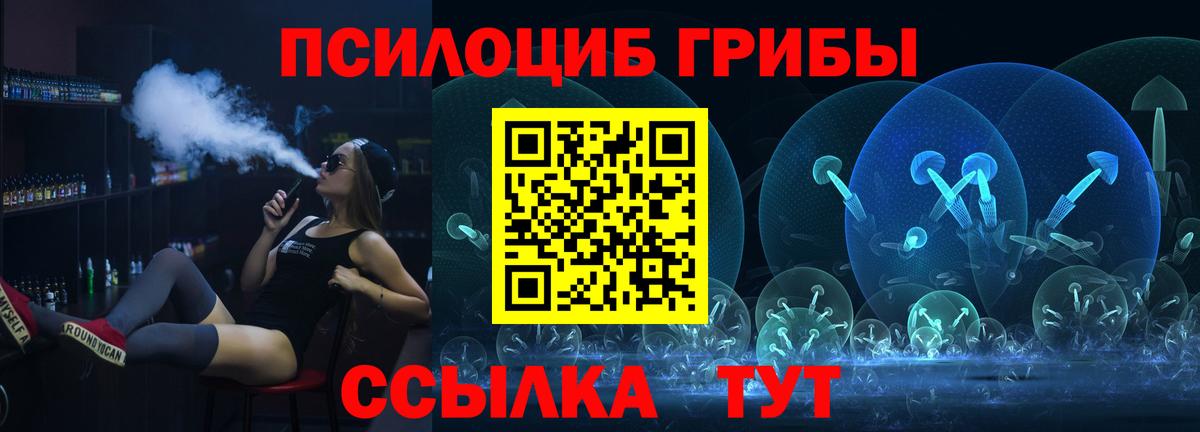 Кропоткин  Псилоцибиновые грибы Psilocybe  Вход с VPN 
